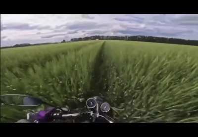 Cornfield Chase IRL u/patiosquare