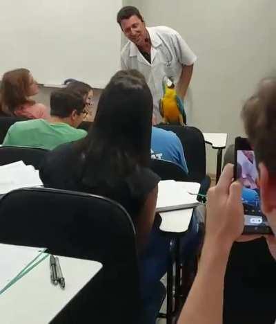 Another normal day at a college in Brazil.