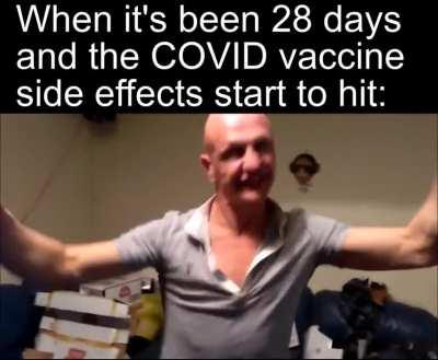 10/10 would recommend