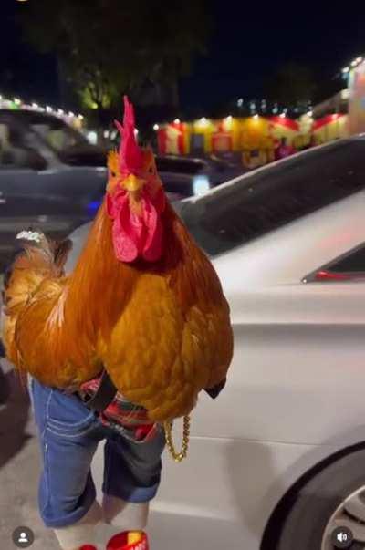 Posted up on the block