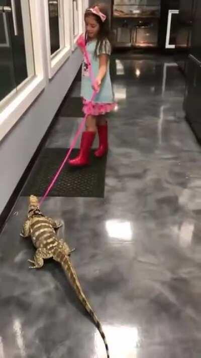 Pick up after your dog