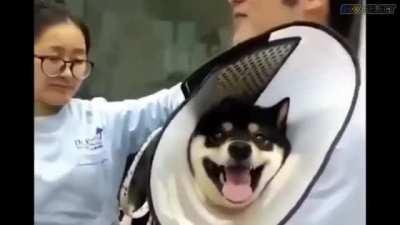 شكلي لما أروح لعد الطبيب و يقولي لاتخاف ماتوجع