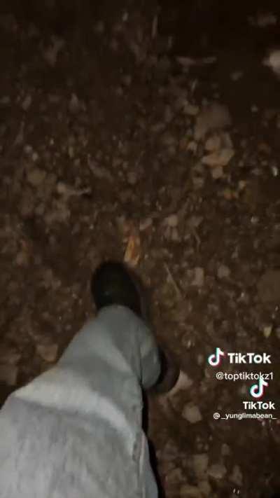 He Sacrifice His Own Life To Get This Footage (Not My OC)