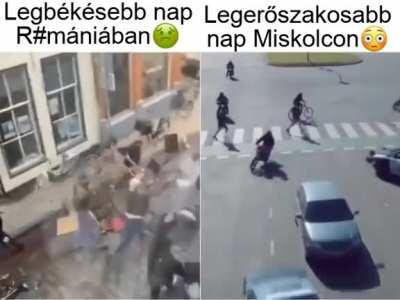 aM i RiGhT fElloW hOmIeS?