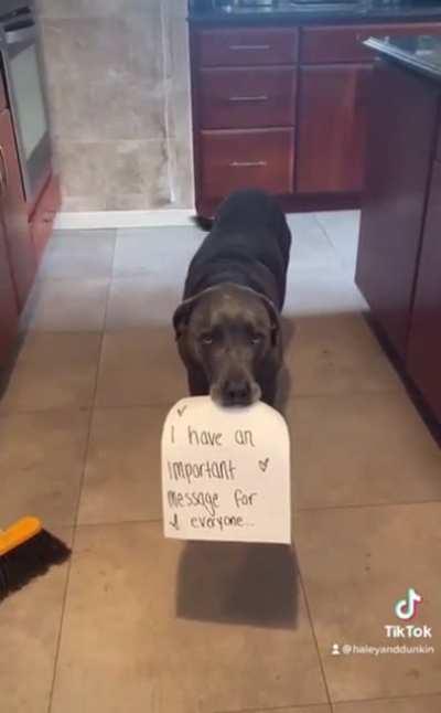 To the annoying toxic vegans on this subreddit.