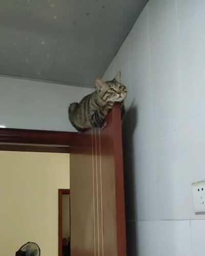 Sleeping in a stupid place.