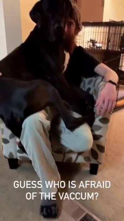 They’re just enormous babies