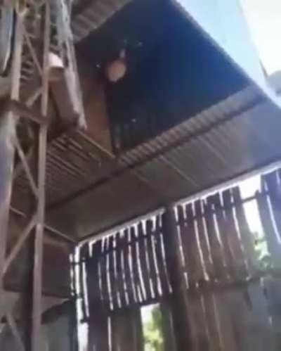 i can't believe that actually worked