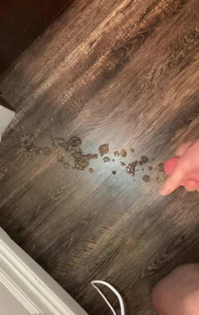 I made a little mess