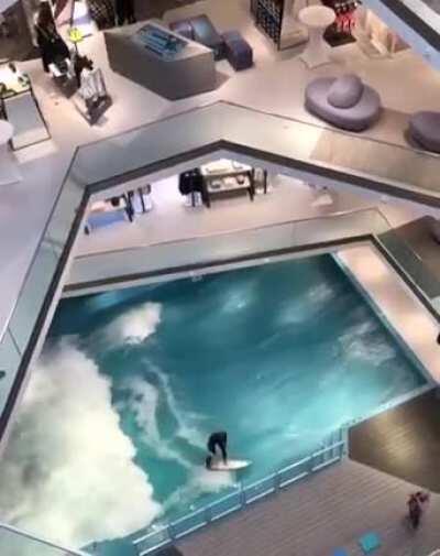 A corrupção é só uma onda, tira o PTque passa. Os bancos, especuladores brasileiros, indústrias e petroleiras internacionais surfando.