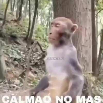 Aguardando hasta que desbaneen al gallego