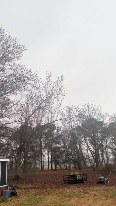 I think this is a omen