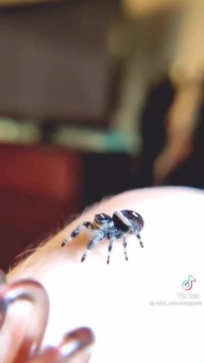 Bea is facing her fears and has some good advice 🕷️