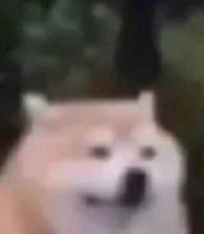 ha vaii link chahiye tha apko?😄