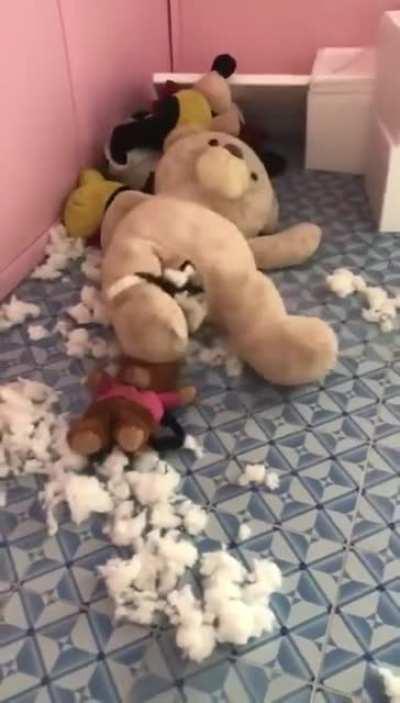 Новый фильм про Чужого. С котом в главной роли.