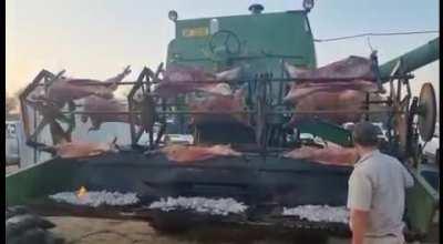 I'd expect to see this in Texas or some other Southern U.S state but I'm not surprised to see it done in SA.