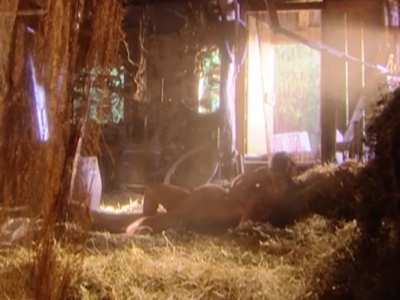 [Topless] [Bush] Amandha Lee (24 years old) in brazilian series A Casa das Sete Mulheres/Seven Women (2003)