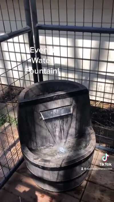 We doubled the size of their outdoor enclosure, added lots of toys, and they still just want to lay around all day 🤨