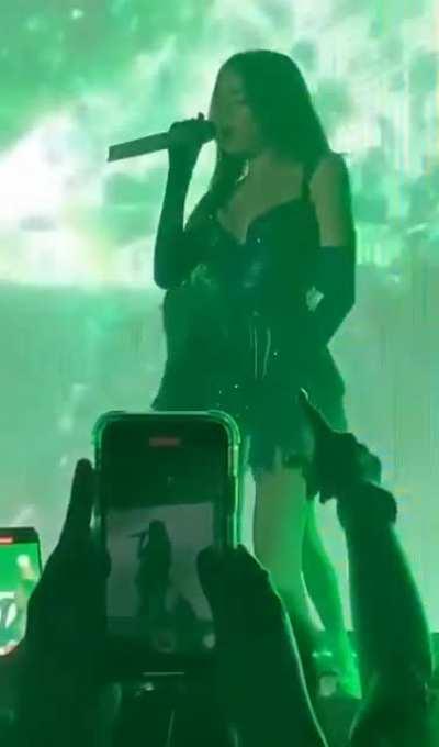 Follow The White Rabbit (Manchester)