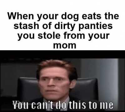 I thought dogs were supposed to be man’s best friend.