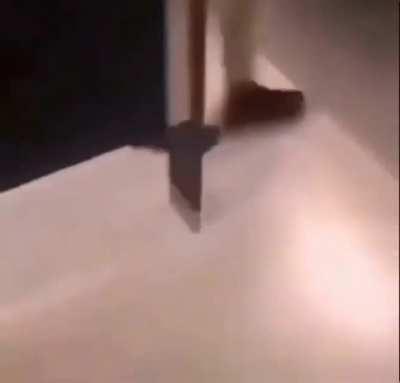 You niggas be devious asf in school nowadays 💀💀💀💀💀