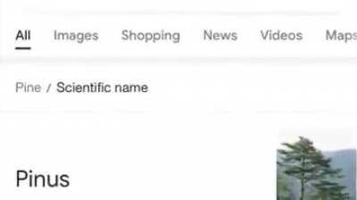 Explain this one males!