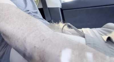 I almost got caught edging myself between Uber rides.  Should I have kept my pants down? 