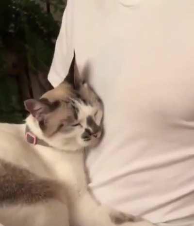 By law, this means he can't move for at least 3 hours