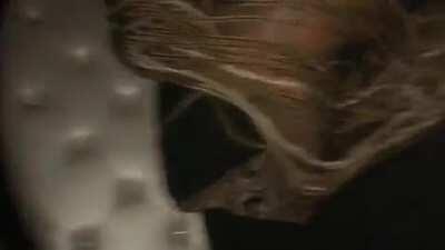 Big Ass Booty Backshots