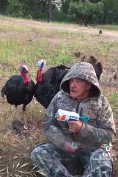 Hunting + Drugs = new animal friends