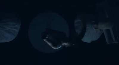 “Medicine” music video [April 2019]