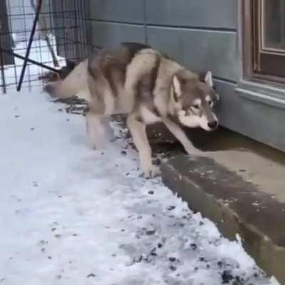 No don’t go near it!....never mind