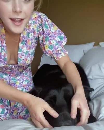 Kiki and her Puppies