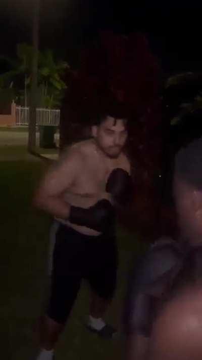 wordington light skin