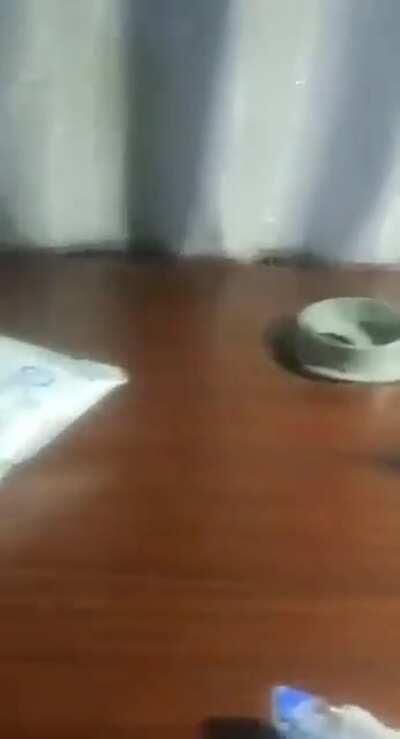 To put the thing in the hole