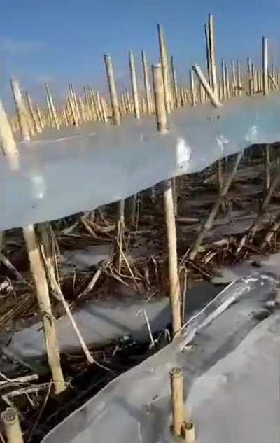 The ice stayed . . .but the water left.