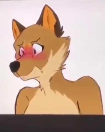 Cute_irl