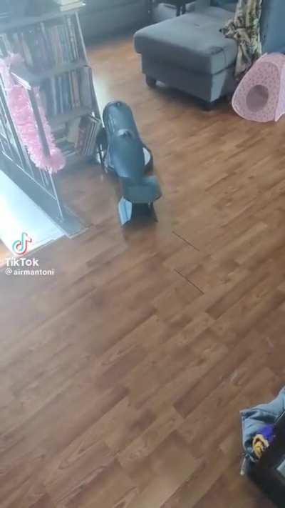 I SEE YOUR CLAYMORE ROOMBA AND I RAISE YOU-