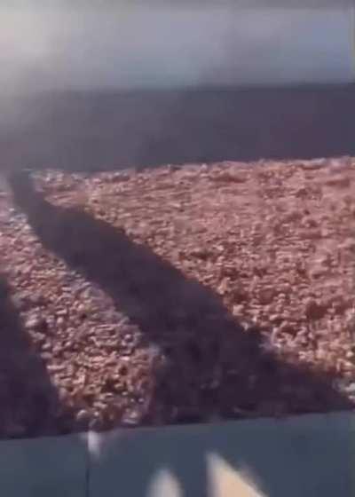 who knows what they were fighting about 🙄