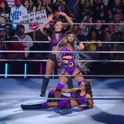 Party Birds 🎉🪶