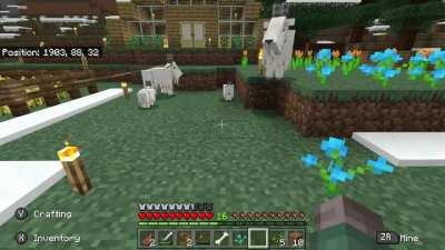 This baby goat tried to hit me to the moon