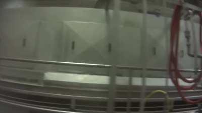 Insane reality of Maple Lodge Farms, a self proclaimed 'Wholesome Family Farm'