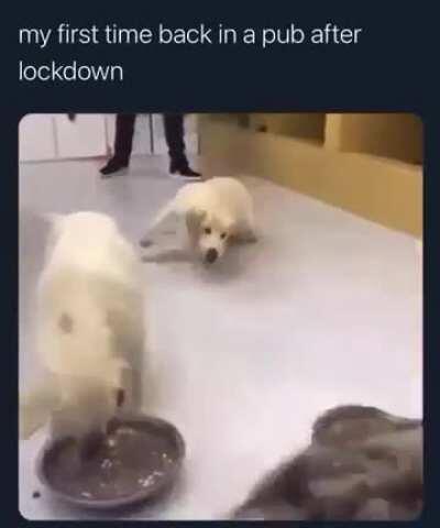 This, is how to buy on the dip