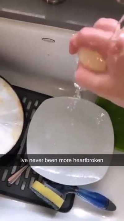 Egg