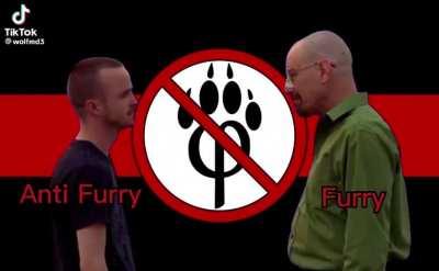 A message to all the anti furries and Furries on this server