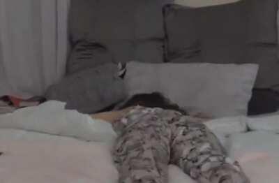 Would you eat her out or pronebone?