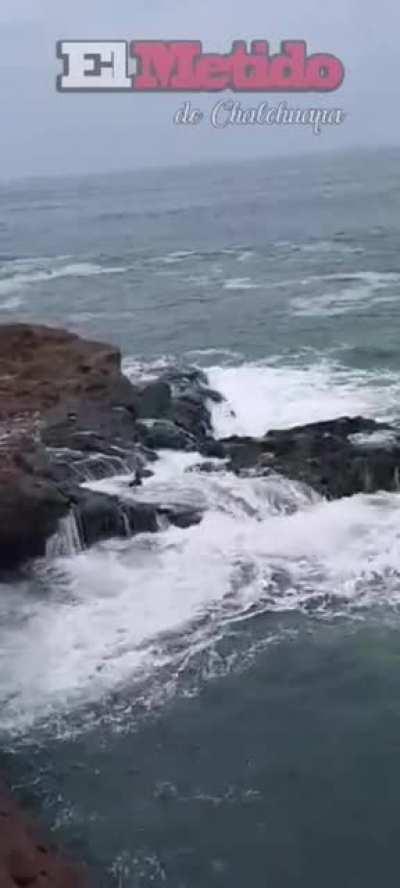 Drunk Idiots almost drowned