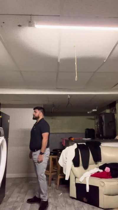 Video: do these pants fit well (fat guy) with gym legs 