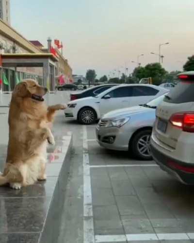 Ok slowly….slowly…slowly