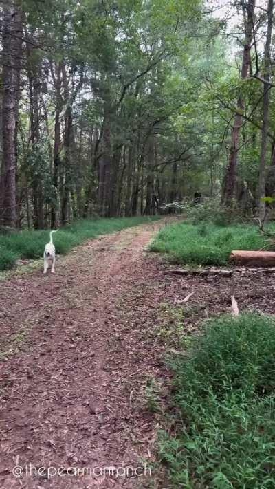 Headless Horseman Halloween Costume